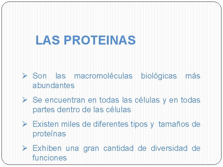 LAS PROTEINAS Ø Son las macromoléculas abundantes biológicas más Ø Se encuentran en todas