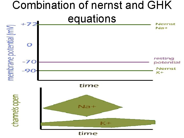 Combination of nernst and GHK equations 