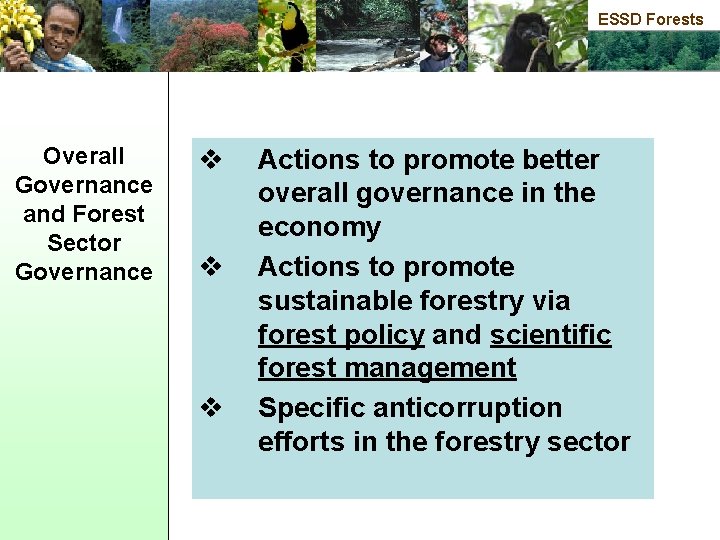ESSD Forests Overall Governance and Forest Sector Governance v v v Actions to promote
