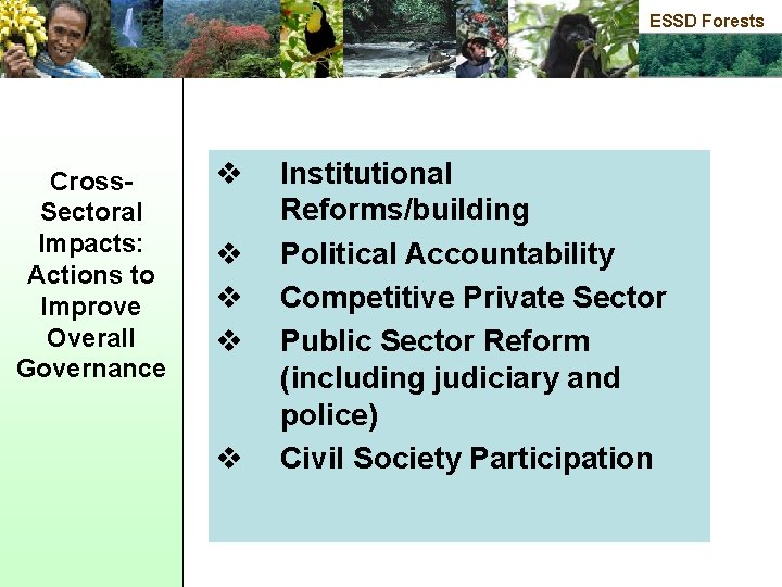 ESSD Forests Cross. Sectoral Impacts: Actions to Improve Overall Governance v v v Institutional