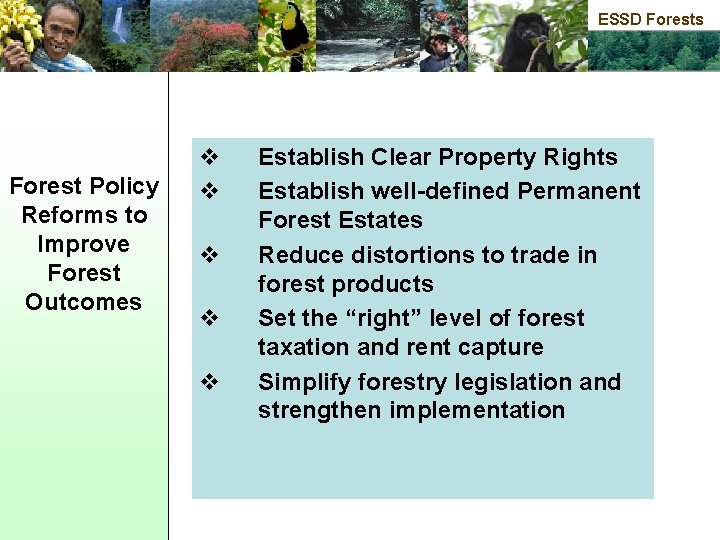 ESSD Forests Forest Policy Reforms to Improve Forest Outcomes v v v Establish Clear