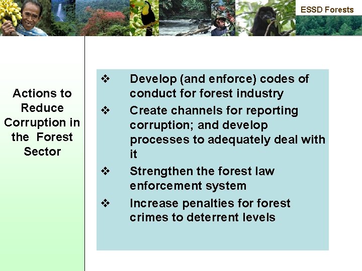 ESSD Forests v Actions to Reduce Corruption in the Forest Sector v v v