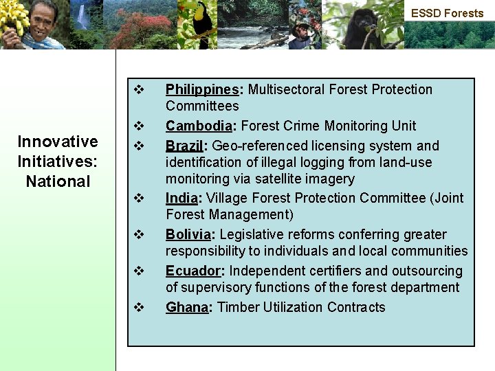 ESSD Forests v Innovative Initiatives: National v v v Philippines: Multisectoral Forest Protection Committees