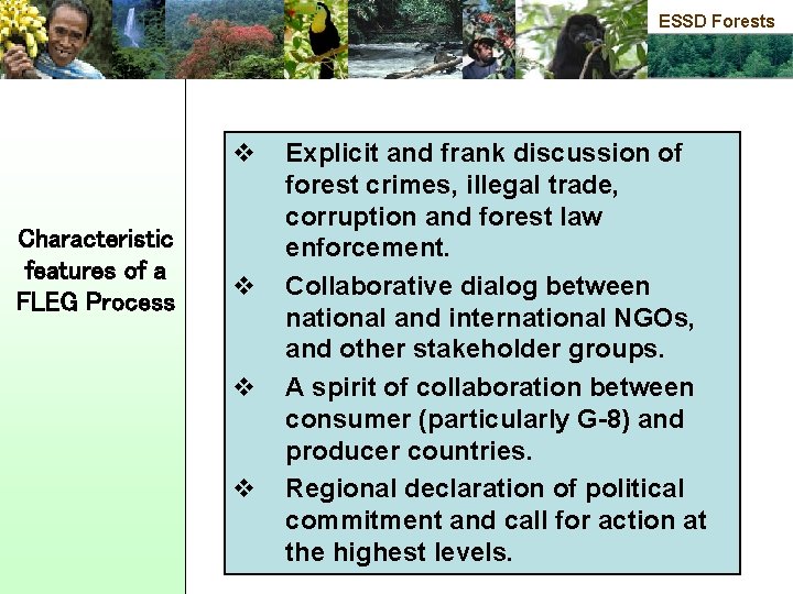 ESSD Forests v Characteristic features of a FLEG Process v v v Explicit and