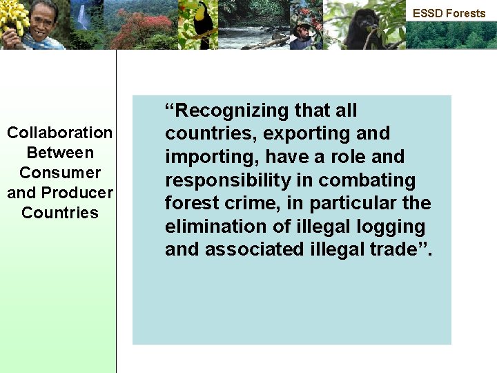ESSD Forests Collaboration Between Consumer and Producer Countries “Recognizing that all countries, exporting and