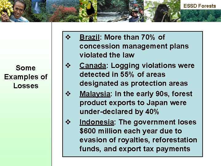 ESSD Forests v Some Examples of Losses v v v Brazil: More than 70%