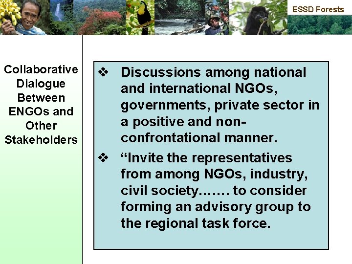 ESSD Forests Collaborative Dialogue Between ENGOs and Other Stakeholders v Discussions among national and
