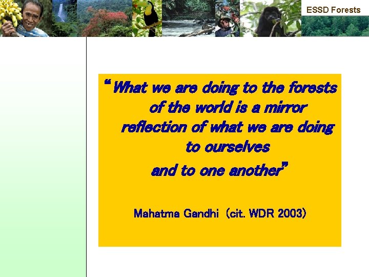 ESSD Forests “What we are doing to the forests of the world is a