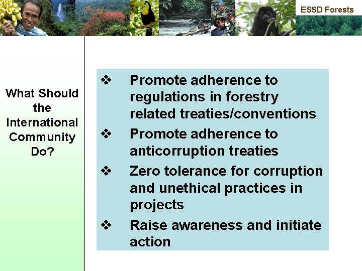 ESSD Forests What Should the International Community Do? v v Promote adherence to regulations
