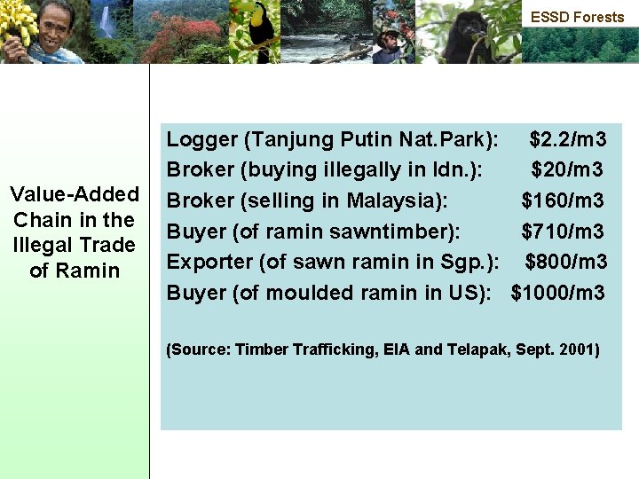 ESSD Forests Value-Added Chain in the Illegal Trade of Ramin Logger (Tanjung Putin Nat.