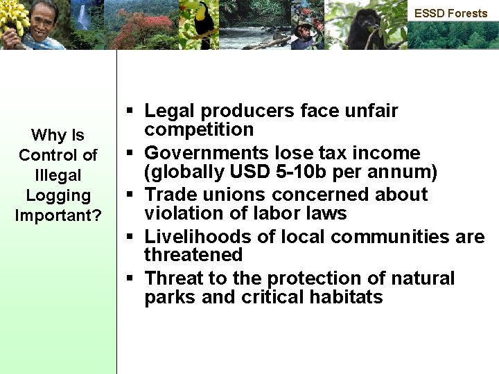 ESSD Forests Why Is Control of lllegal Logging Important? § Legal producers face unfair