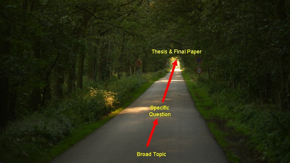Thesis & Final Paper Specific Question Broad Topic 