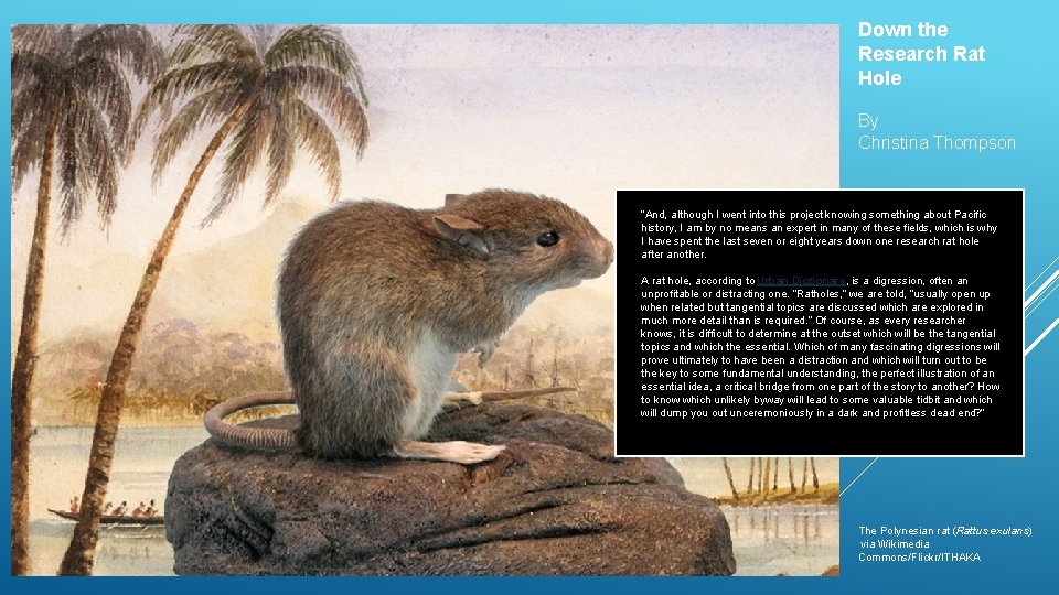 Down the Research Rat Hole By Christina Thompson “And, although I went into this