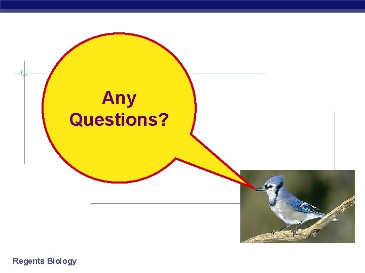 Any Questions? Regents Biology 