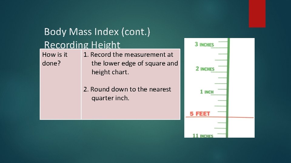 Body Mass Index (cont. ) Recording Height How is it done? 1. Record the
