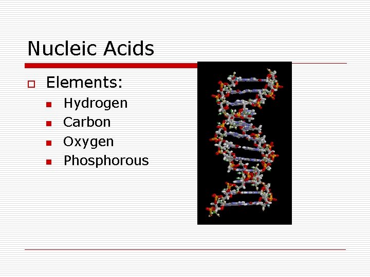 Nucleic Acids o Elements: n n Hydrogen Carbon Oxygen Phosphorous 
