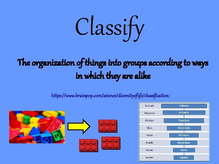 Classify The organization of things into groups according to ways in which they are