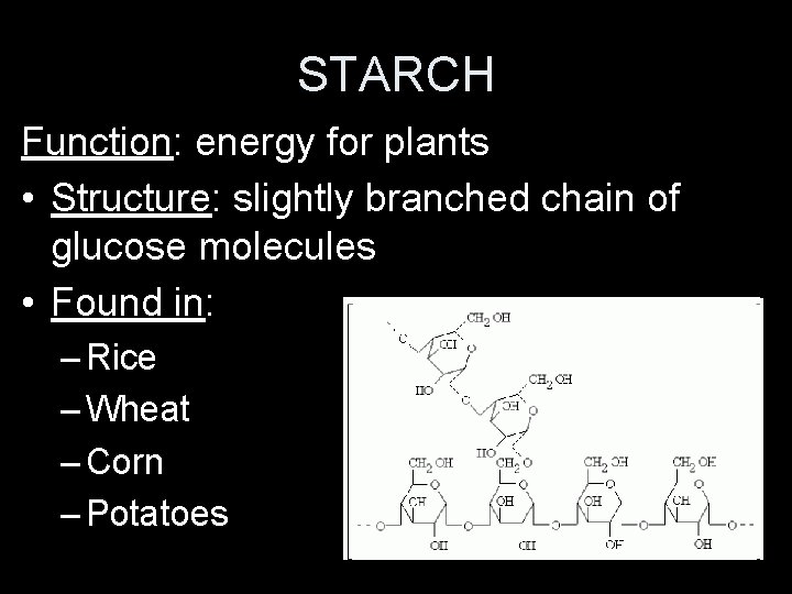 STARCH Function: energy for plants • Structure: slightly branched chain of glucose molecules •