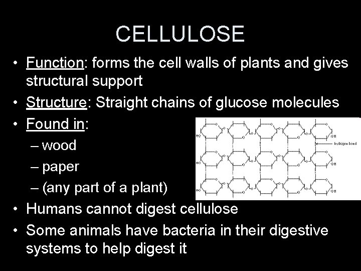 CELLULOSE • Function: forms the cell walls of plants and gives structural support •