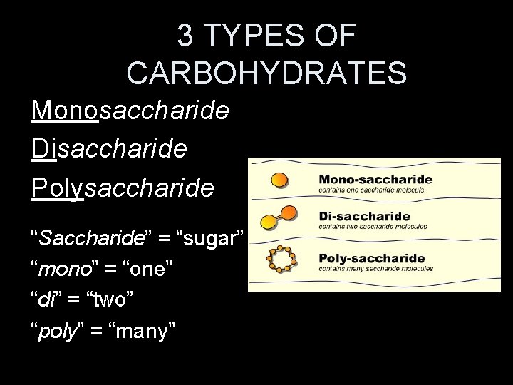 3 TYPES OF CARBOHYDRATES Monosaccharide Disaccharide Polysaccharide “Saccharide” = “sugar” “mono” = “one” “di”