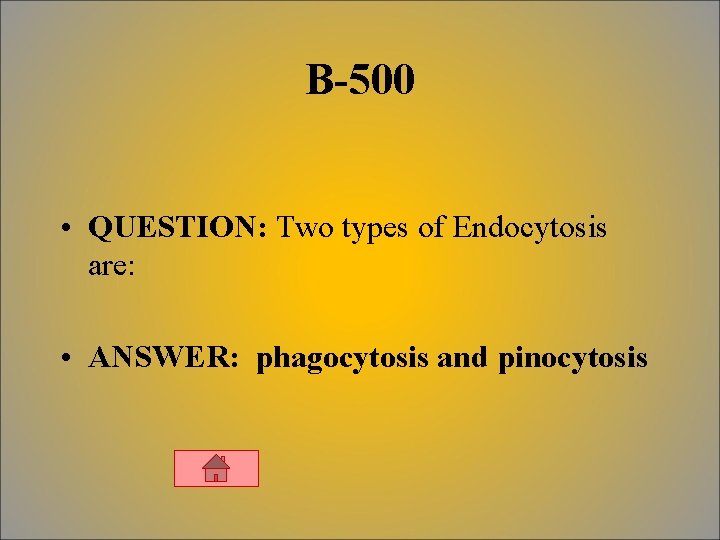 B-500 • QUESTION: Two types of Endocytosis are: • ANSWER: phagocytosis and pinocytosis 