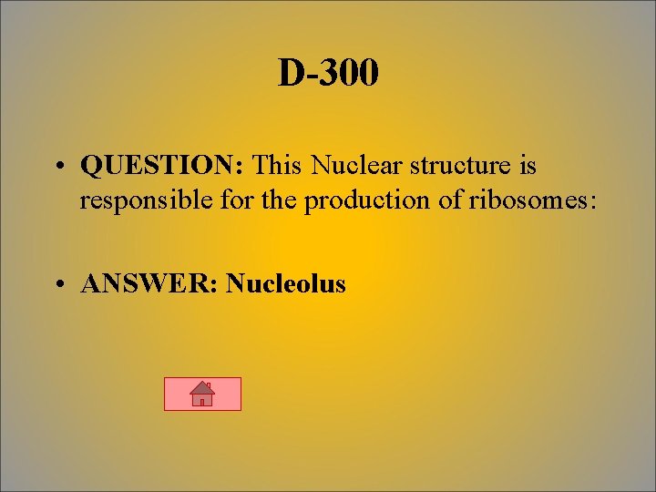 D-300 • QUESTION: This Nuclear structure is responsible for the production of ribosomes: •