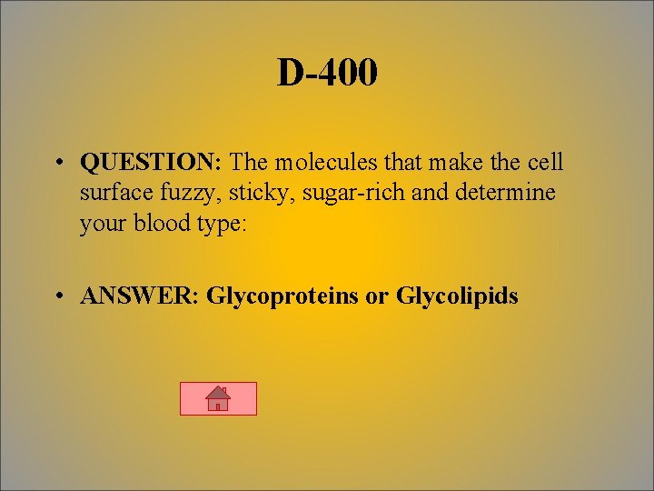D-400 • QUESTION: The molecules that make the cell surface fuzzy, sticky, sugar-rich and