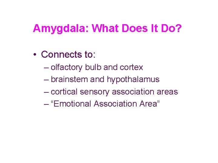 Amygdala: What Does It Do? • Connects to: – olfactory bulb and cortex –