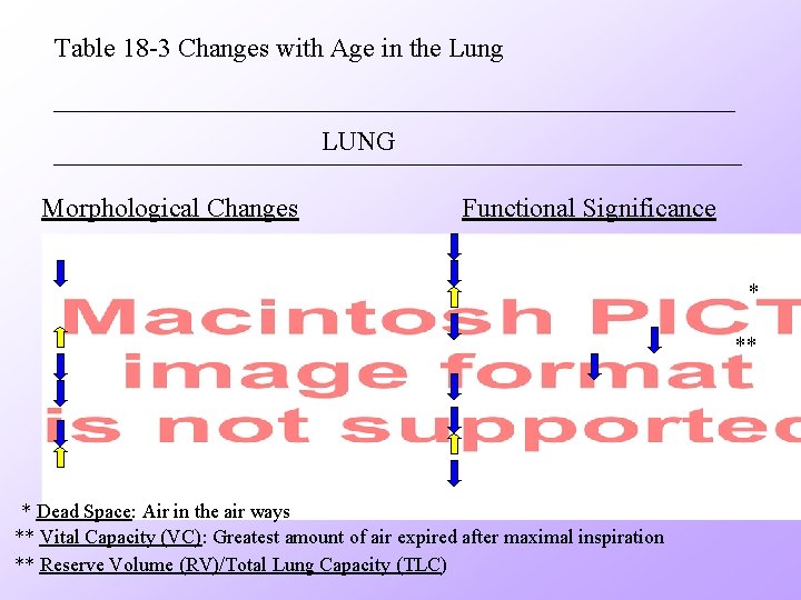 Table 18 -3 Changes with Age in the Lung LUNG Morphological Changes Functional Significance