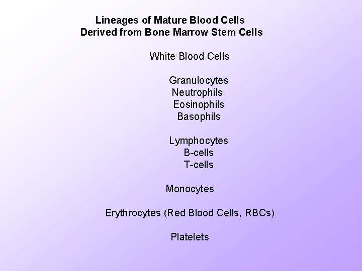 Lineages of Mature Blood Cells Derived from Bone Marrow Stem Cells White Blood Cells