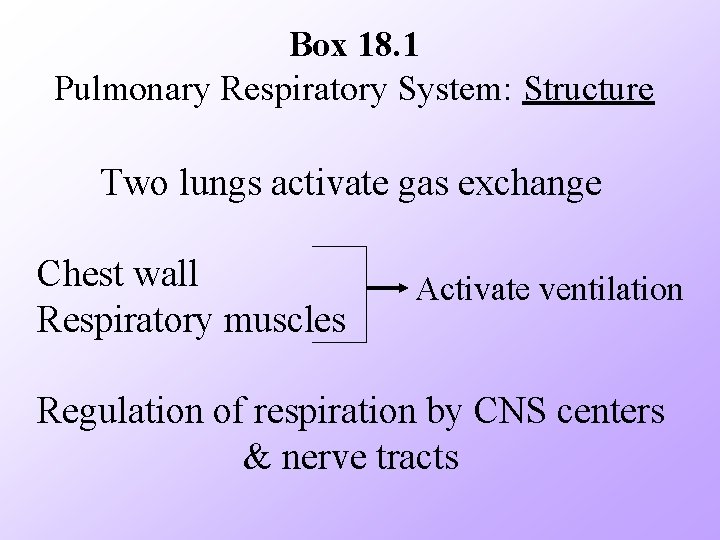 Box 18. 1 Pulmonary Respiratory System: Structure Two lungs activate gas exchange Chest wall