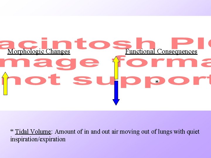 Morphologic Changes Functional Consequences * * Tidal Volume: Amount of in and out air