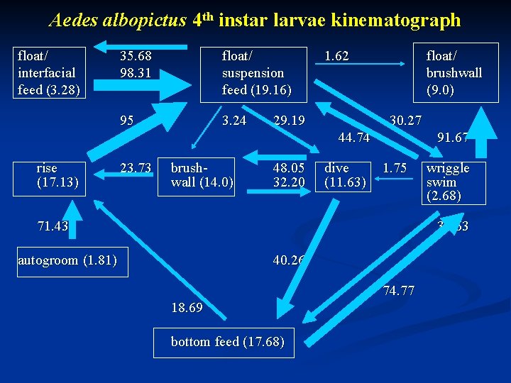 Aedes albopictus 4 th instar larvae kinematograph float/ interfacial feed (3. 28) 35. 68