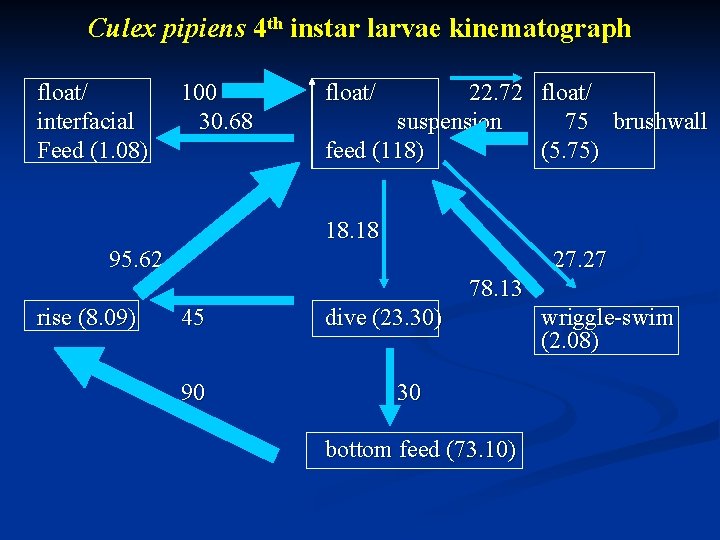 Culex pipiens 4 th instar larvae kinematograph float/ interfacial Feed (1. 08) 100 30.