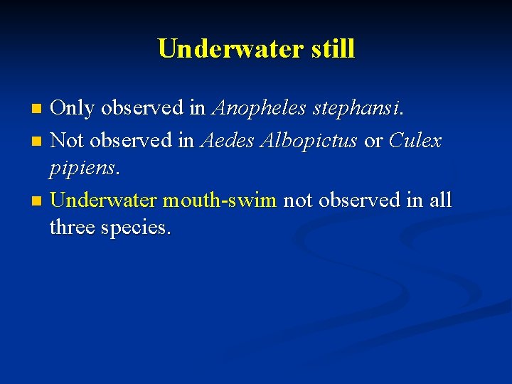 Underwater still Only observed in Anopheles stephansi. n Not observed in Aedes Albopictus or