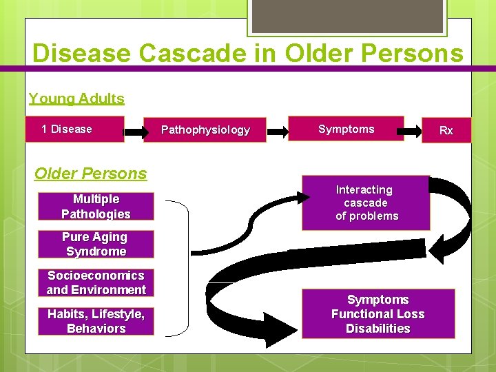 Disease Cascade in Older Persons Young Adults 1 Disease Pathophysiology Symptoms Older Persons Multiple