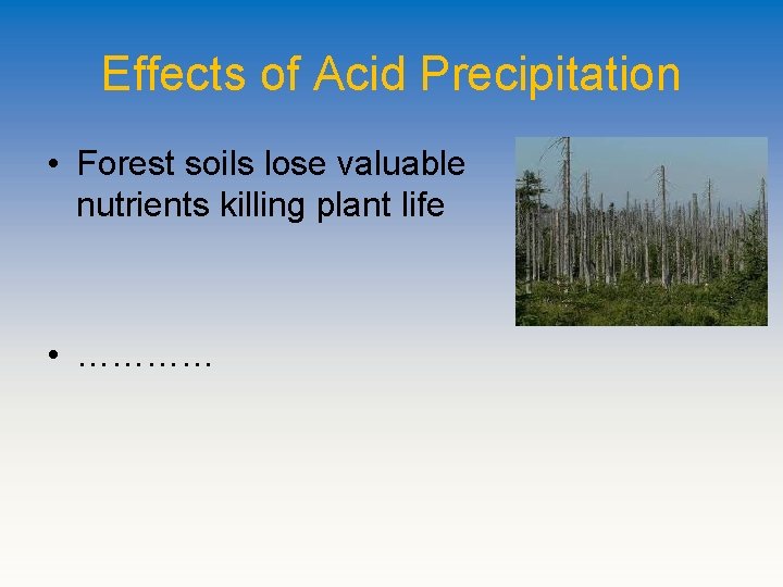 Effects of Acid Precipitation • Forest soils lose valuable nutrients killing plant life •