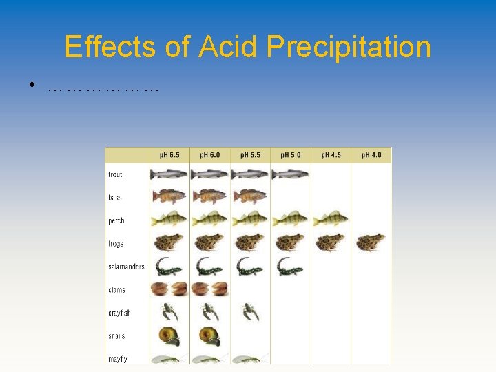 Effects of Acid Precipitation • ……………… 