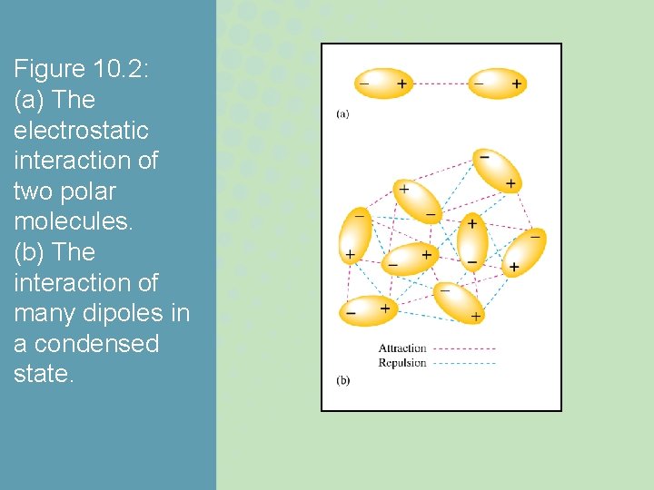 Figure 10. 2: (a) The electrostatic interaction of two polar molecules. (b) The interaction