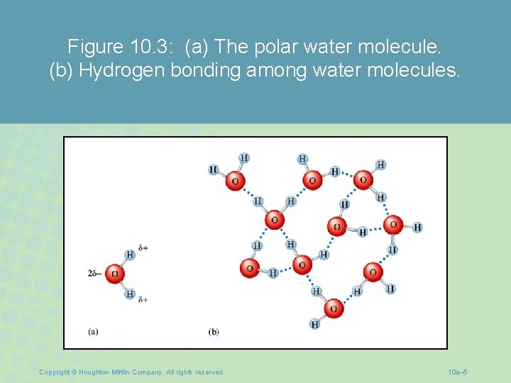 Figure 10. 3: (a) The polar water molecule. (b) Hydrogen bonding among water molecules.