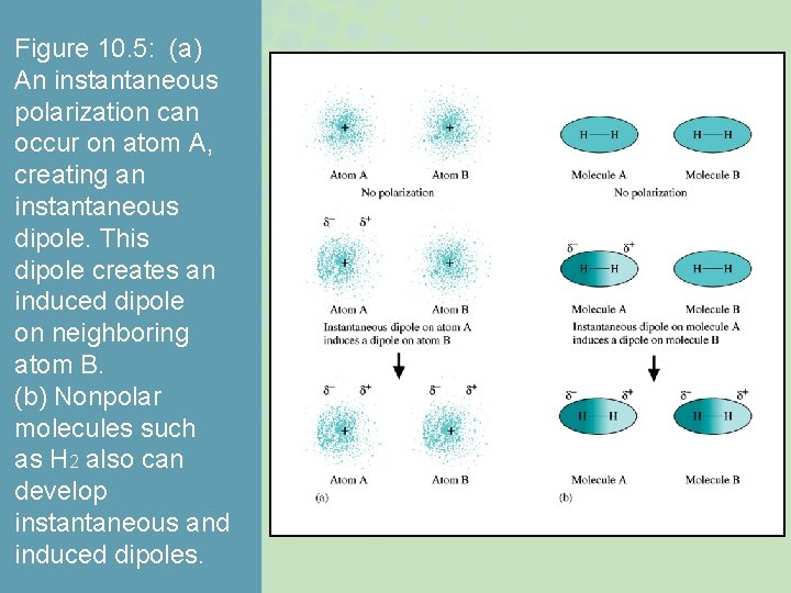 Figure 10. 5: (a) An instantaneous polarization can occur on atom A, creating an