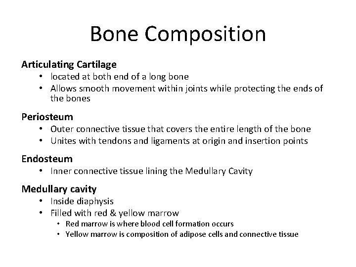 Bone Composition Articulating Cartilage • located at both end of a long bone •