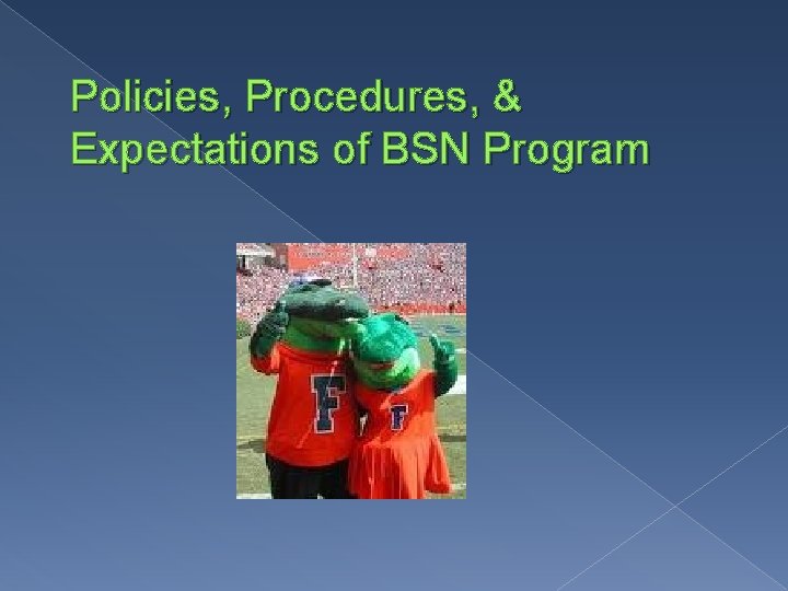 Policies, Procedures, & Expectations of BSN Program 