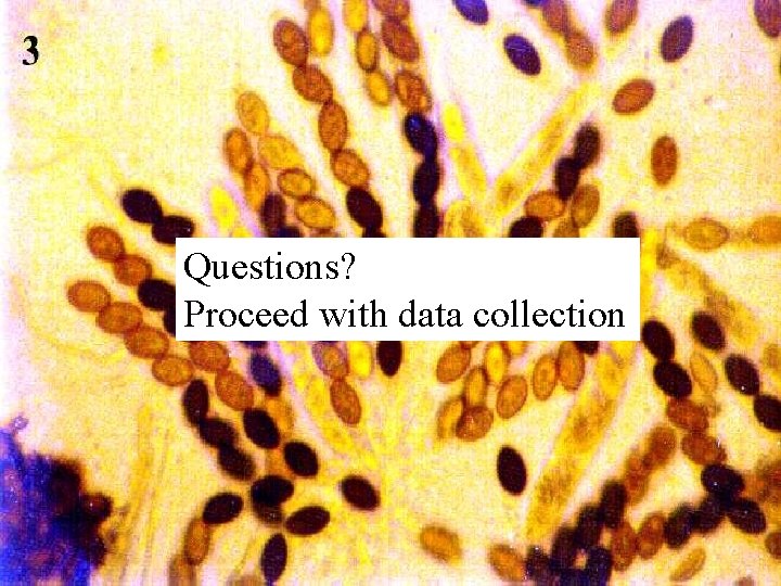 Questions? Proceed with data collection 