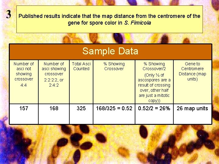 Published results indicate that the map distance from the centromere of the gene for