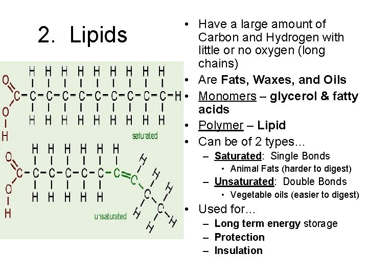 2. Lipids • Have a large amount of Carbon and Hydrogen with little or