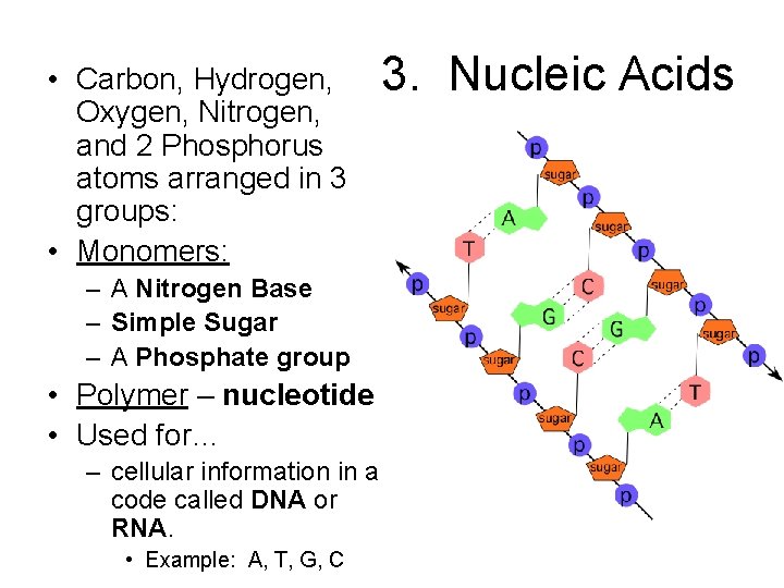  • Carbon, Hydrogen, Oxygen, Nitrogen, and 2 Phosphorus atoms arranged in 3 groups: