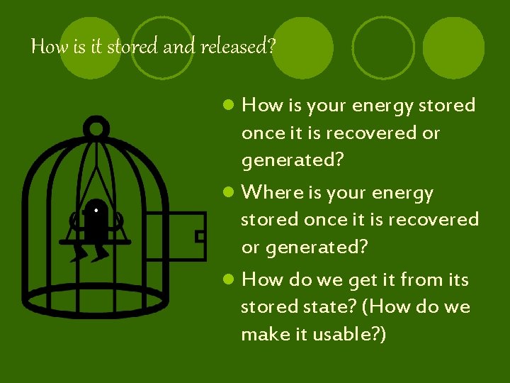 How is it stored and released? l How is your energy stored once it