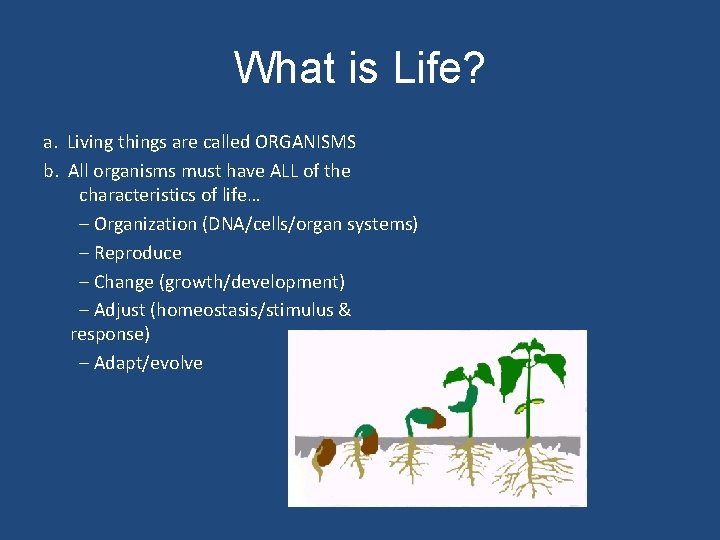 What is Life? a. Living things are called ORGANISMS b. All organisms must have