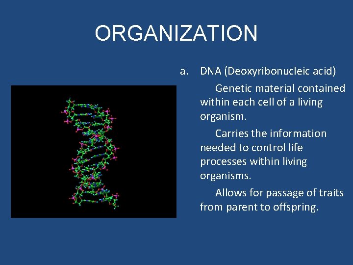 ORGANIZATION a. DNA (Deoxyribonucleic acid) Genetic material contained within each cell of a living